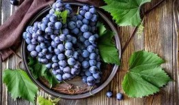 葡萄爆料视频大全,揭秘娱乐圈幕后故事